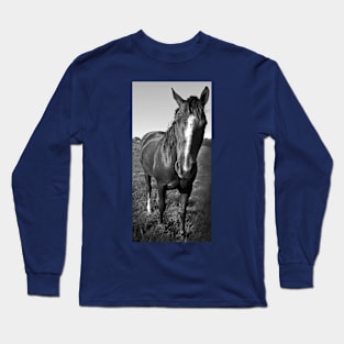 Horse Long Sleeve T-Shirt